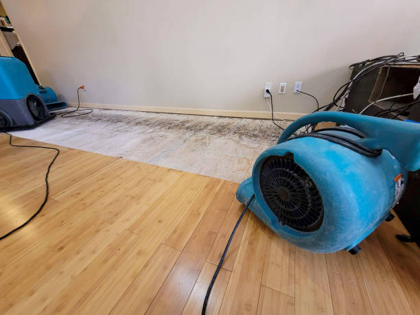 Professional Flood Damage Cleanup technician working in Scottsboro, AL